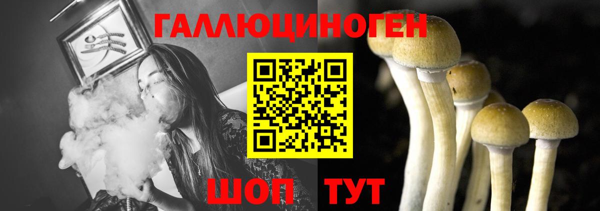 Галлюциногенные грибы мицелий  Вход с VPN  Мичуринск  цены наркотик  Псилоцибиновые грибы MAGIC MUSHROOMS 